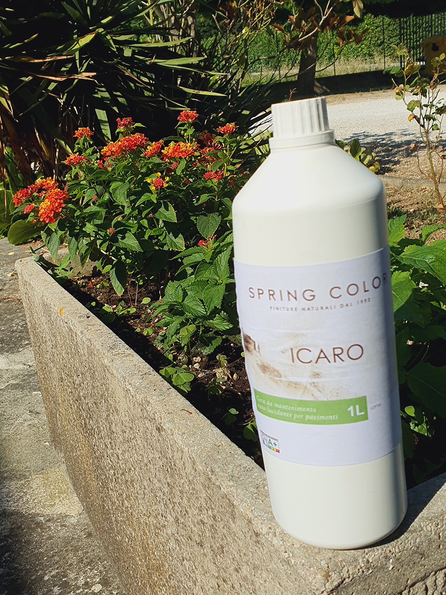 Icaro - immagine 2