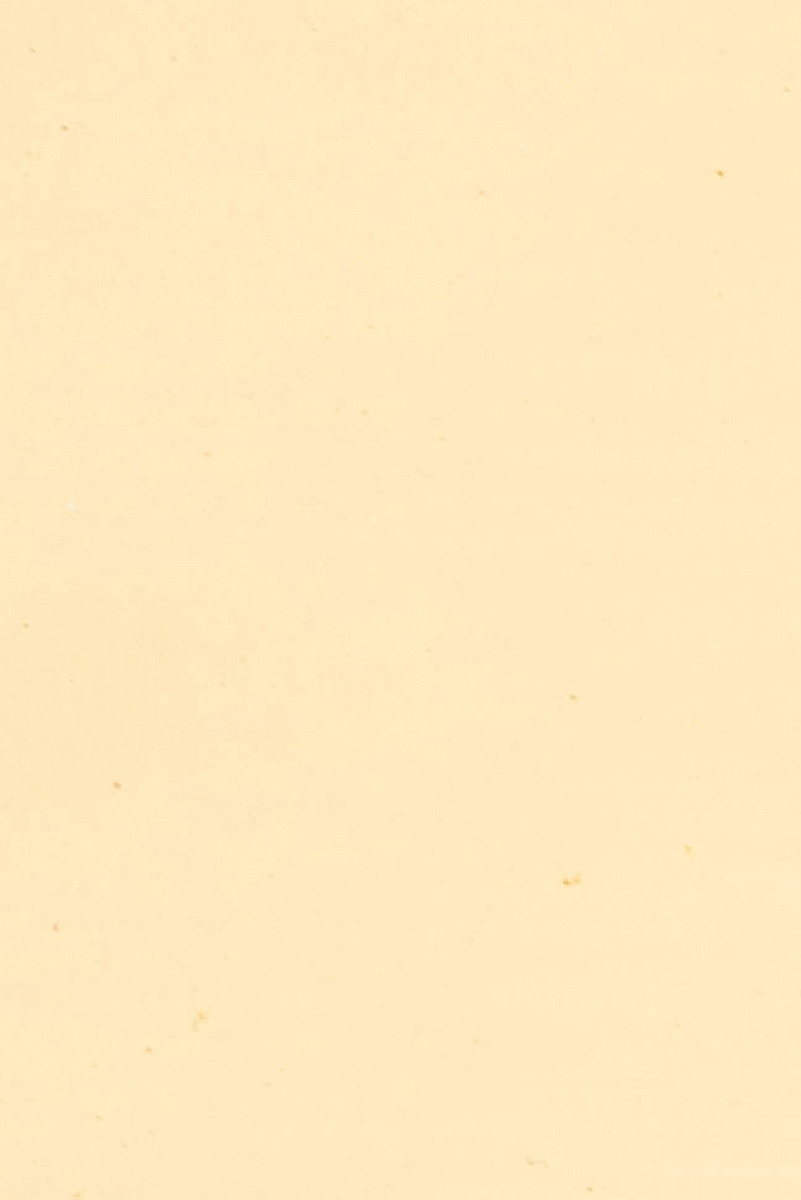 Ocra 43