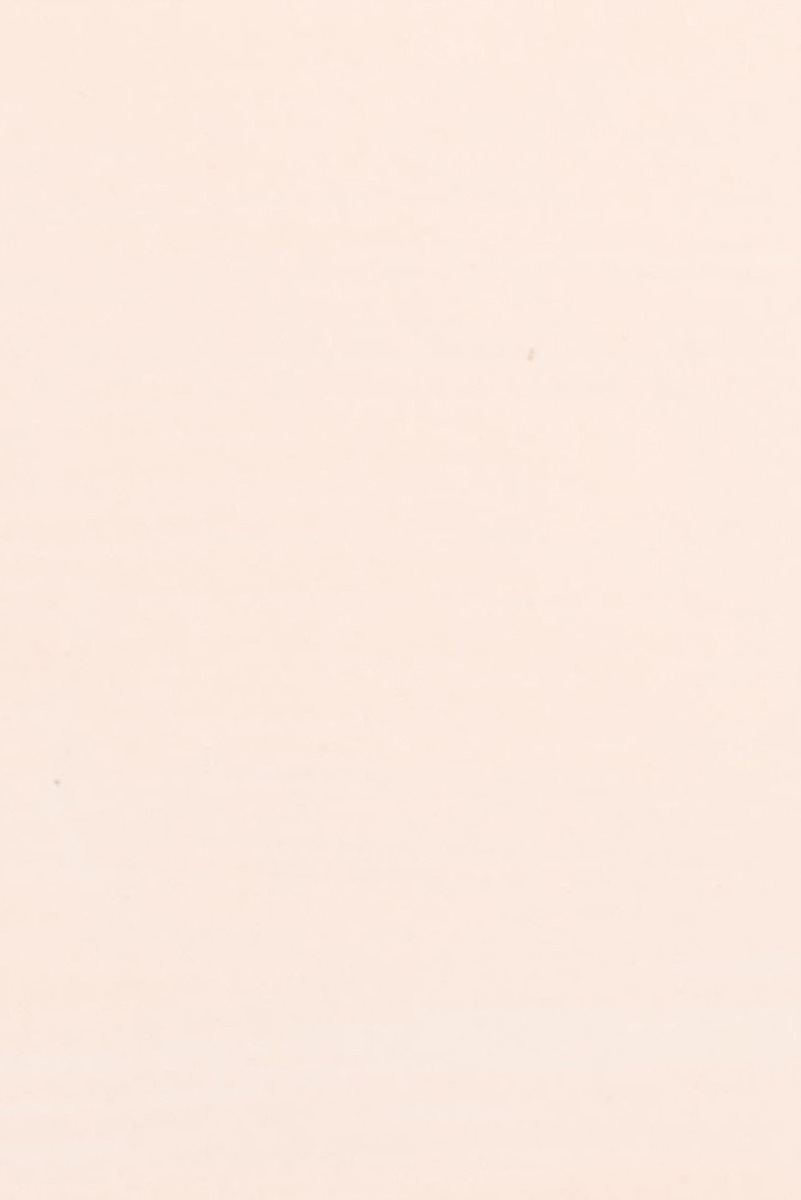 Salmone 25