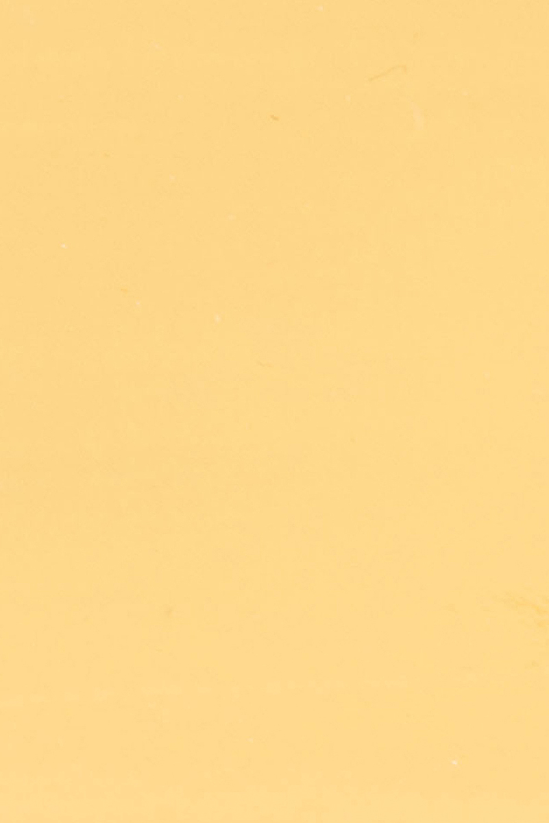 Siena 11