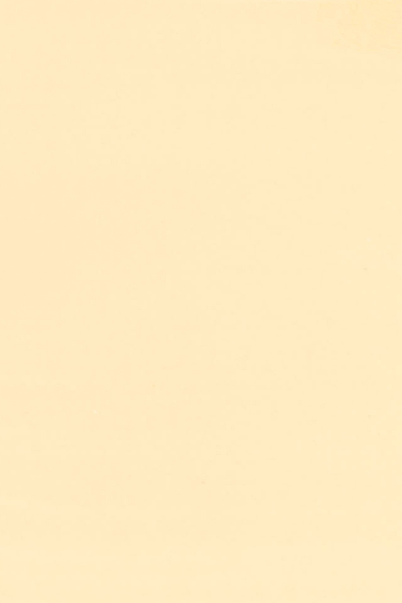 Siena 13