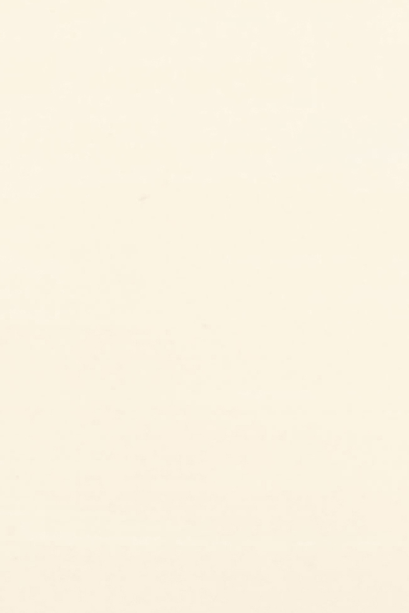 Siena 15
