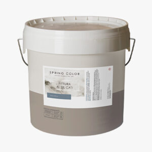 Pittura ai silicati